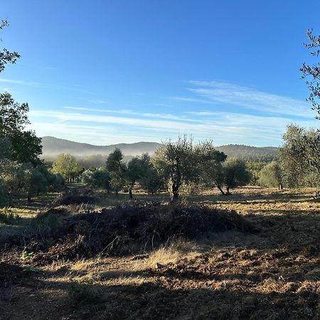 Podere San Luigi Βίλα Montorsaio Εξωτερικό φωτογραφία