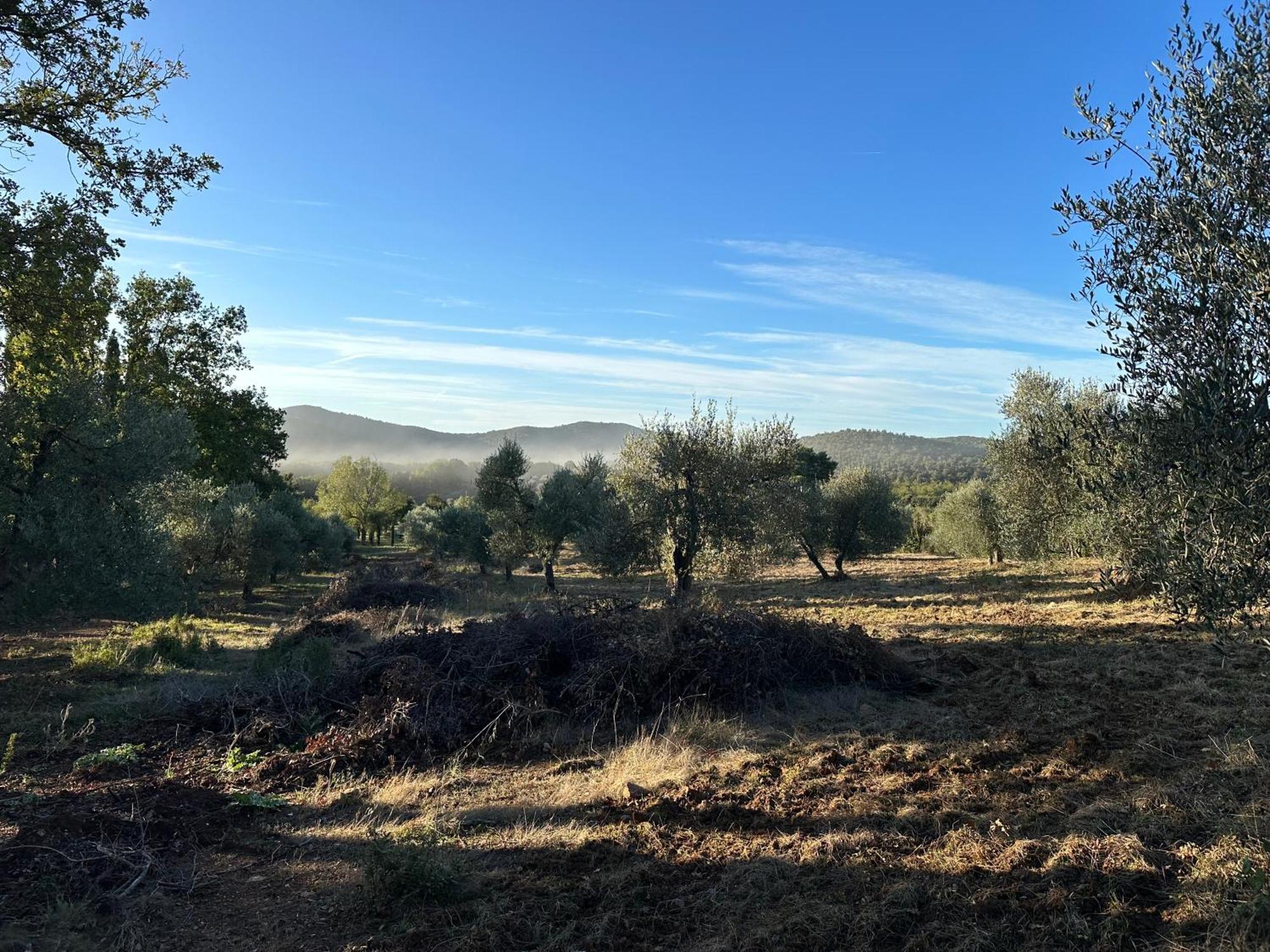 Podere San Luigi Βίλα Montorsaio Εξωτερικό φωτογραφία